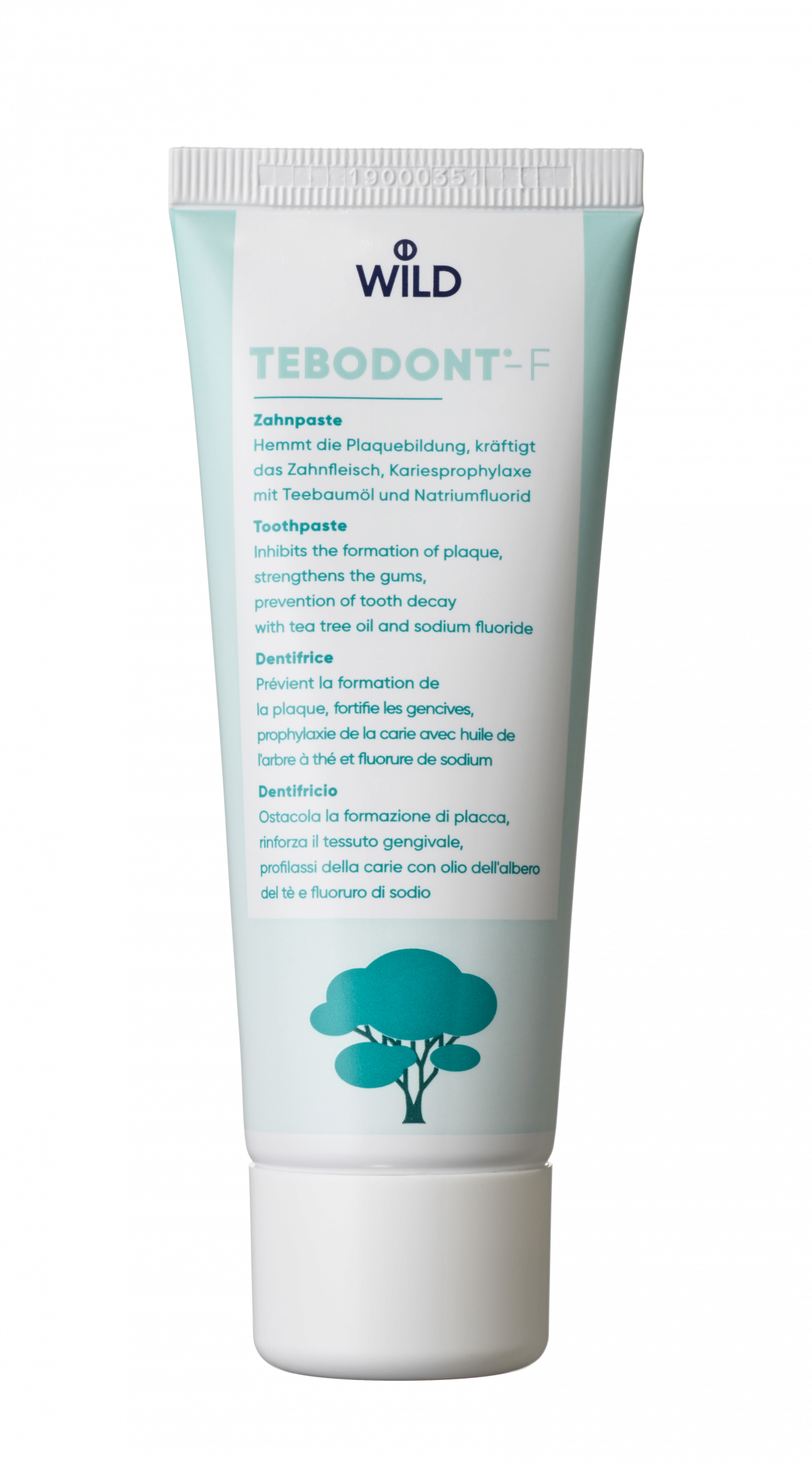 Tebodont-F zubní pasta s fluoridy, 75 ml