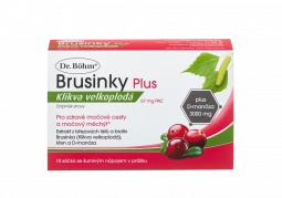 Dr. Böhm Brusinky Plus, Klikva velkoplodá 67 mg PAC, 10 sáčků
