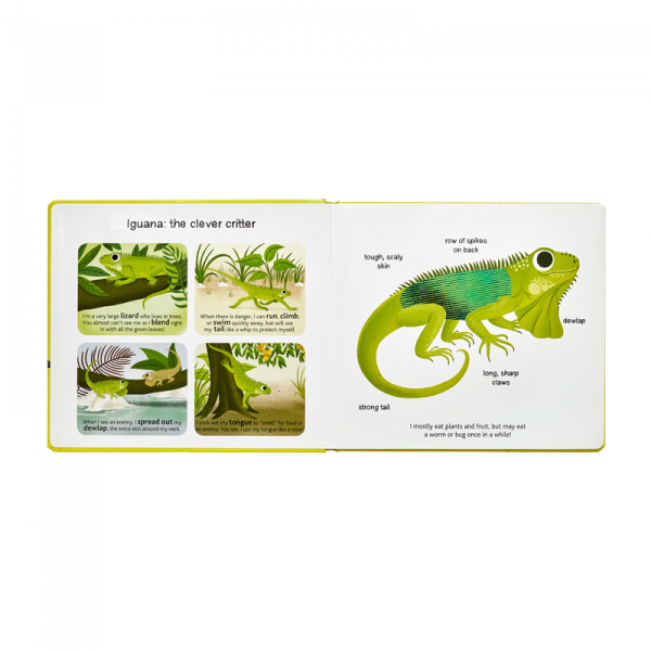 Džungle - hmatová knížka