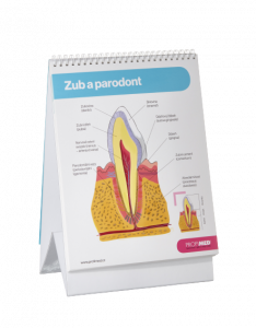 PROFIMED Atlas ústní hygieny