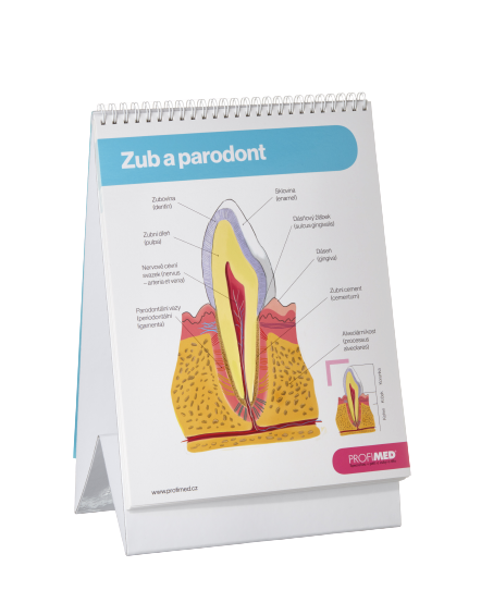 PROFIMED Atlas ústní hygieny