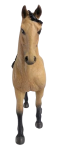Lusitánský  kůň