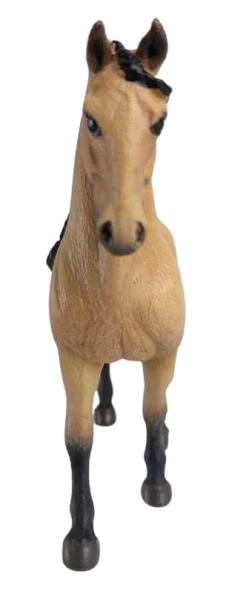 Lusitánský  kůň