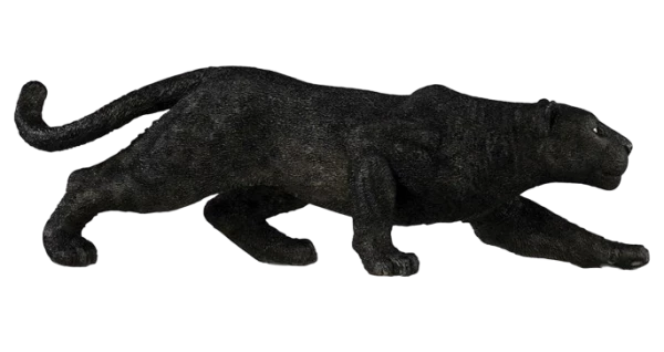 Panter černý