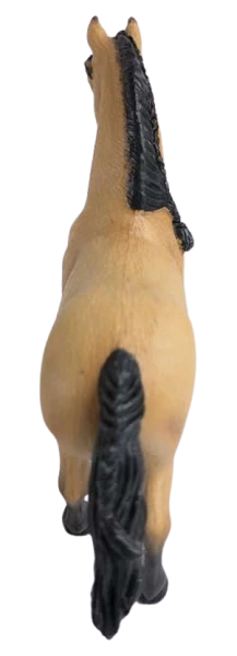 Lusitánský  kůň