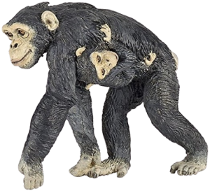 Šimpanz s mládětem