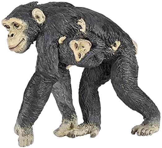 Šimpanz s mládětem