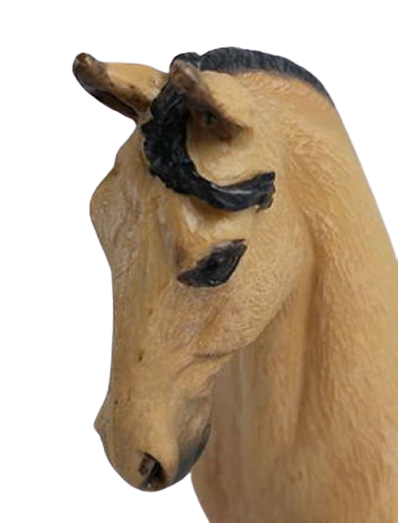 Lusitánský kůň