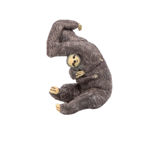 Lenochod s mládětem