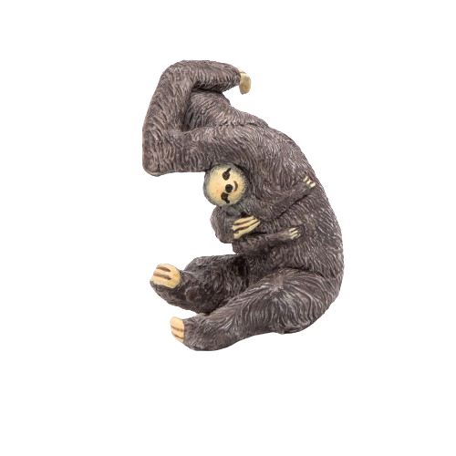 Lenochod s mládětem