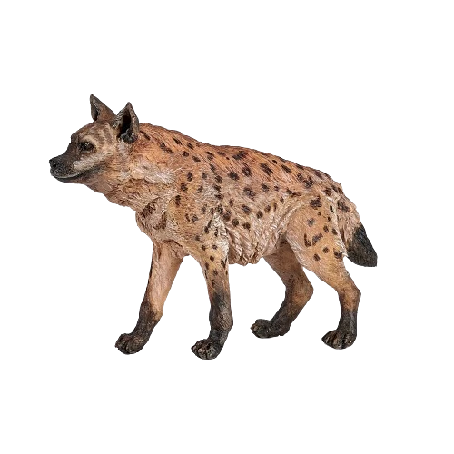 Hyena skvrnitá