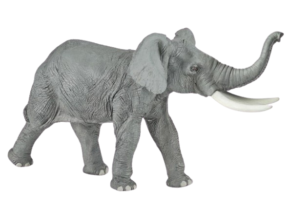 Slon Africký se zvednutým chobotem