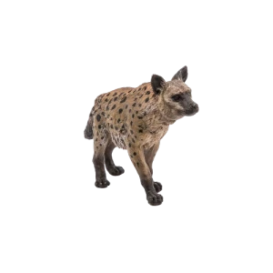 Hyena skvrnitá
