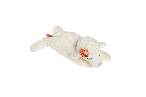 Kikadu hrající beránek