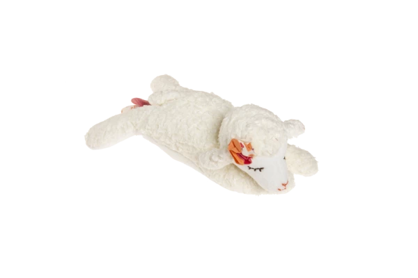 Kikadu hrající beránek