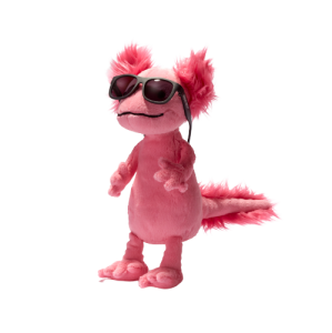 Vánoční balíček Jellycat Alice Axolotl a Babiators Navigator, černé, 3-5 let