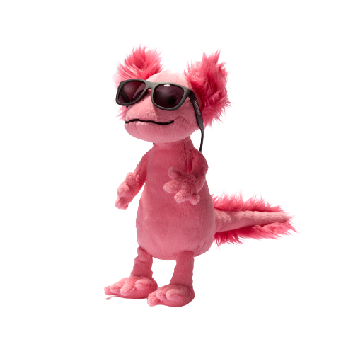 Vánoční balíček Jellycat Alice Axolotl a Babiators Navigator, černé, 3-5 let